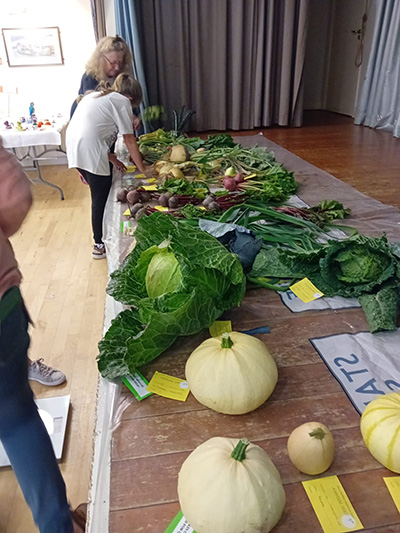 Village Show