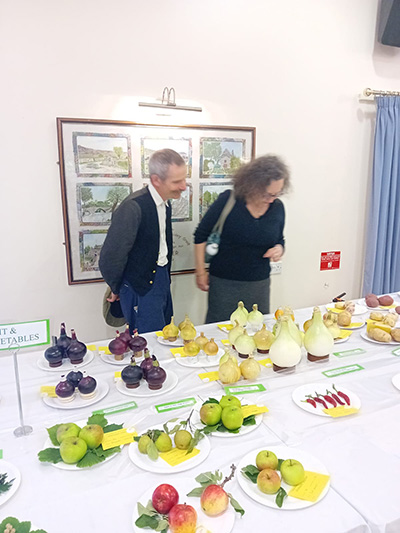 Village Show